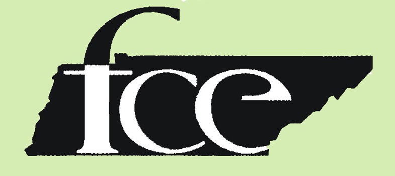 FCE Logo
