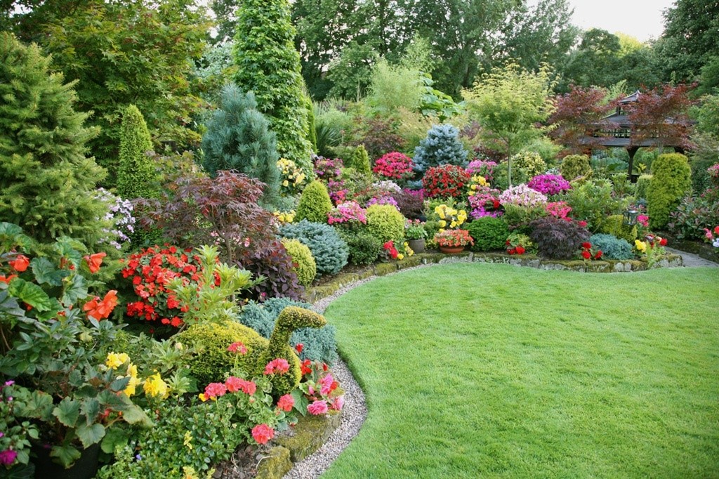 Colorful garden